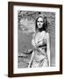 Brown Frame