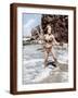 Brown Frame