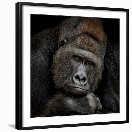 One Moment In Contact-Antje Wenner-Braun-Framed Giclee Print