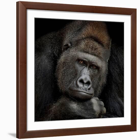 One Moment In Contact-Antje Wenner-Braun-Framed Giclee Print