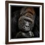 One Moment in Contact-Antje Wenner-Braun-Framed Photographic Print