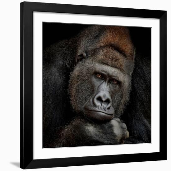 One Moment in Contact-Antje Wenner-Braun-Framed Photographic Print