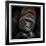 One Moment in Contact-Antje Wenner-Braun-Framed Photographic Print