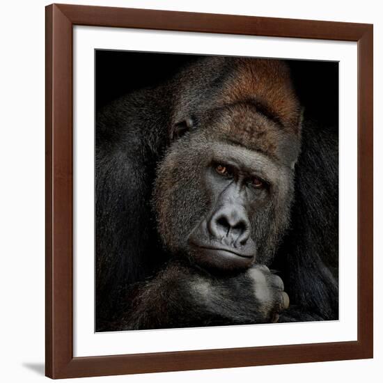 One Moment in Contact-Antje Wenner-Braun-Framed Photographic Print