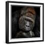 One Moment in Contact-Antje Wenner-Braun-Framed Premium Photographic Print