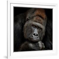 One Moment in Contact-Antje Wenner-Braun-Framed Photographic Print