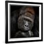 One Moment in Contact-Antje Wenner-Braun-Framed Photographic Print