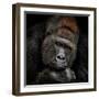 One Moment in Contact-Antje Wenner-Braun-Framed Photographic Print