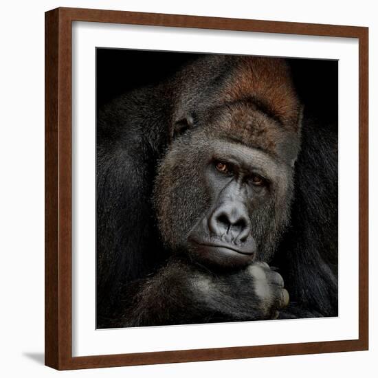 One Moment in Contact-Antje Wenner-Braun-Framed Photographic Print