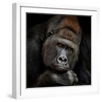 One Moment in Contact-Antje Wenner-Braun-Framed Photographic Print