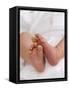 One Month Old Newborn Baby Girl-Amanda Hall-Framed Stretched Canvas