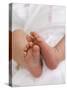 One Month Old Newborn Baby Girl-Amanda Hall-Stretched Canvas