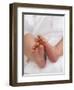 One Month Old Newborn Baby Girl-Amanda Hall-Framed Photographic Print