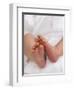 One Month Old Newborn Baby Girl-Amanda Hall-Framed Photographic Print