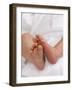 One Month Old Newborn Baby Girl-Amanda Hall-Framed Photographic Print