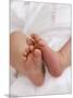 One Month Old Newborn Baby Girl-Amanda Hall-Mounted Photographic Print