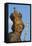 One of 30 Charles Bridge statues, St. Elizabeth. Prague, Capital city of Czech, Czech Republic-Tom Haseltine-Framed Stretched Canvas