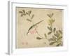 One of a Series of Paintings of Birds and Fruit, Late 19th Century-Wang Guochen-Framed Giclee Print