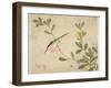 One of a Series of Paintings of Birds and Fruit, Late 19th Century-Wang Guochen-Framed Giclee Print