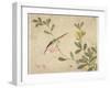 One of a Series of Paintings of Birds and Fruit, Late 19th Century-Wang Guochen-Framed Giclee Print