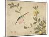 One of a Series of Paintings of Birds and Fruit, Late 19th Century-Wang Guochen-Mounted Giclee Print