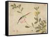 One of a Series of Paintings of Birds and Fruit, Late 19th Century-Wang Guochen-Framed Stretched Canvas