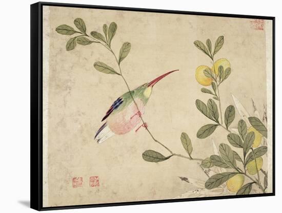 One of a Series of Paintings of Birds and Fruit, Late 19th Century-Wang Guochen-Framed Stretched Canvas