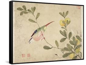 One of a Series of Paintings of Birds and Fruit, Late 19th Century-Wang Guochen-Framed Stretched Canvas