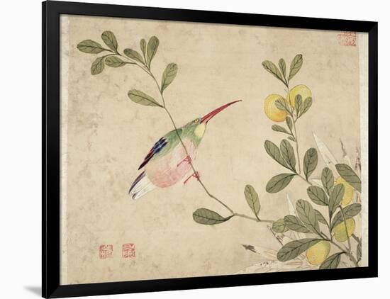 One of a Series of Paintings of Birds and Fruit, Late 19th Century-Wang Guochen-Framed Giclee Print