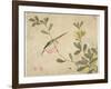 One of a Series of Paintings of Birds and Fruit, Late 19th Century-Wang Guochen-Framed Giclee Print