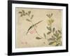 One of a Series of Paintings of Birds and Fruit, Late 19th Century-Wang Guochen-Framed Giclee Print