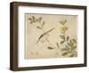 One of a Series of Paintings of Birds and Fruit, Late 19th Century-Wang Guochen-Framed Premium Giclee Print