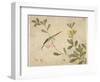 One of a Series of Paintings of Birds and Fruit, Late 19th Century-Wang Guochen-Framed Premium Giclee Print