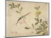 One of a Series of Paintings of Birds and Fruit, Late 19th Century-Wang Guochen-Mounted Premium Giclee Print