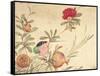 One of a Series of Paintings of Birds and Fruit, Late 19th Century-Wang Guochen-Framed Stretched Canvas