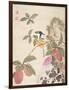 One of a Series of Paintings of Birds and Fruit, Late 19th Century-Wang Guochen-Framed Giclee Print