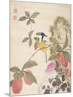 One of a Series of Paintings of Birds and Fruit, Late 19th Century-Wang Guochen-Mounted Giclee Print