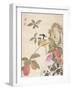 One of a Series of Paintings of Birds and Fruit, Late 19th Century-Wang Guochen-Framed Giclee Print