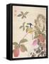 One of a Series of Paintings of Birds and Fruit, Late 19th Century-Wang Guochen-Framed Stretched Canvas