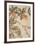 One of a Series of Paintings of Birds and Fruit, Late 19th Century-Wang Guochen-Framed Giclee Print