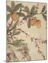 One of a Series of Paintings of Birds and Fruit, Late 19th Century-Wang Guochen-Mounted Giclee Print