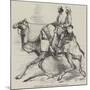 One of Barras' Camel Corps, Raised in Rajpootana-Harrison William Weir-Mounted Giclee Print