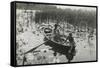 One of Forty Platinum Prints from Life and Landscape on the Norfolk Broads, 1886-Peter Henry Emerson-Framed Stretched Canvas