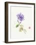 One of Four II-Nan Rae-Framed Art Print