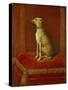 One of Frederick Ii's Italian Greyhounds-German School-Stretched Canvas