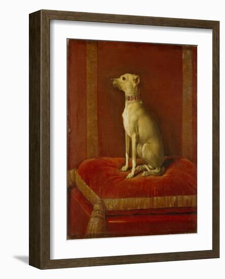 One of Frederick Ii's Italian Greyhounds-German School-Framed Giclee Print