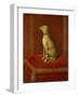 One of Frederick Ii's Italian Greyhounds-German School-Framed Giclee Print