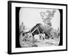 One of General Grant's Union Field Telegraph Stations During the American Civil War, 1861-1865-null-Framed Photographic Print