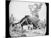 One of General Grant's Union Field Telegraph Stations During the American Civil War, 1861-1865-null-Mounted Photographic Print