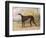 One of George Lane Fox's Winning Greyhounds: the Black and White Greyhound Bitch, Juno-George Garrard-Framed Premium Giclee Print